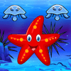 Survival Starfish